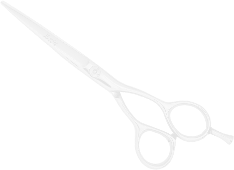 Hairdresser scissors